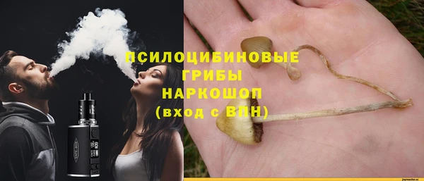 apvp Белокуриха